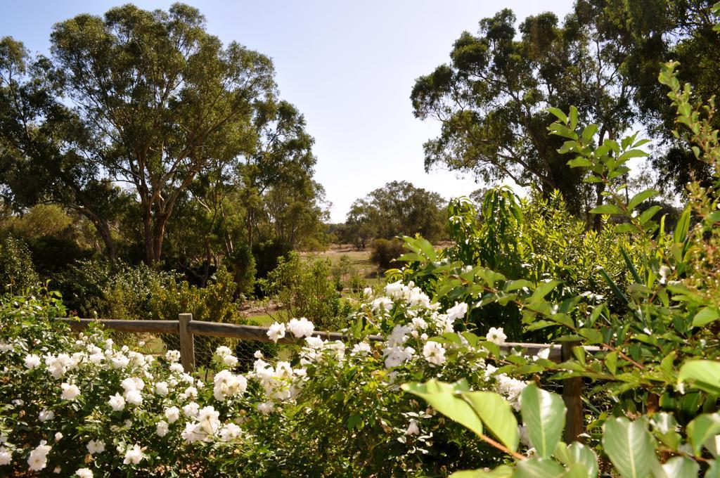 Guildford River Retreat Περθ Εξωτερικό φωτογραφία